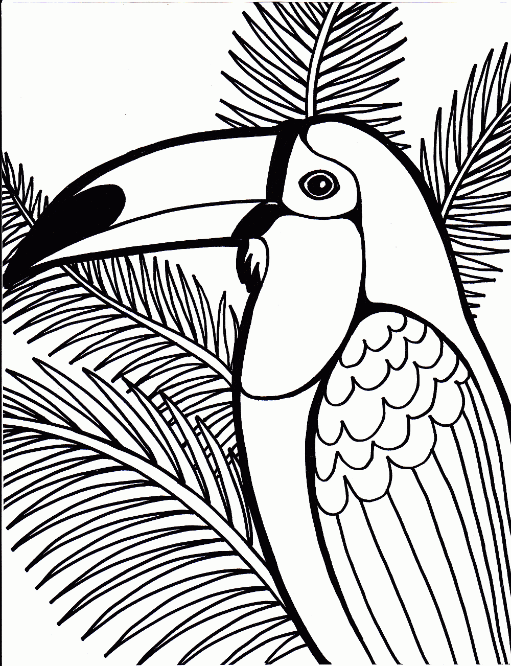 1000x1303 Coloring Pages For Teenagers Bird Coloring Pages Built Ins