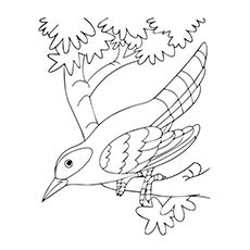 Bird Bath Drawing at GetDrawings | Free download