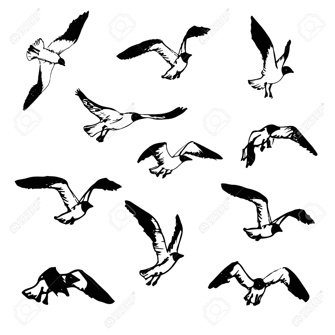 1300x1300 Hand Drawn Flying Seagulls. Black And White Illustration Sketch