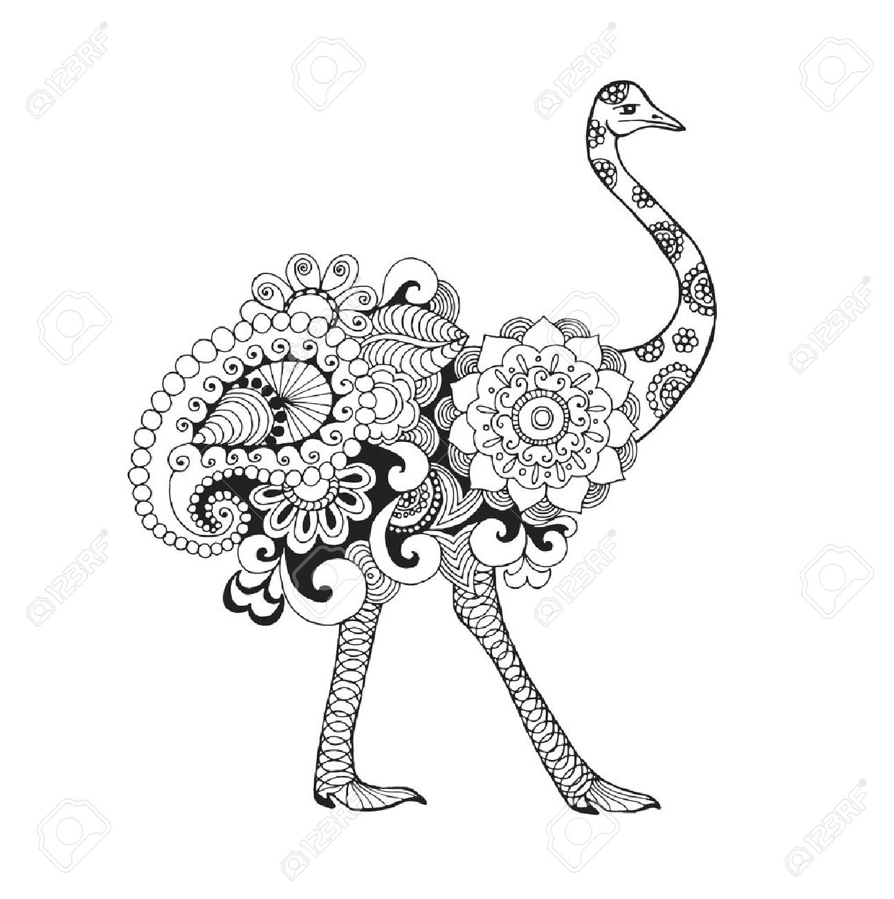 1292x1300 Ostrich Bird. Black White Hand Drawn Doodle Animal. Ethnic