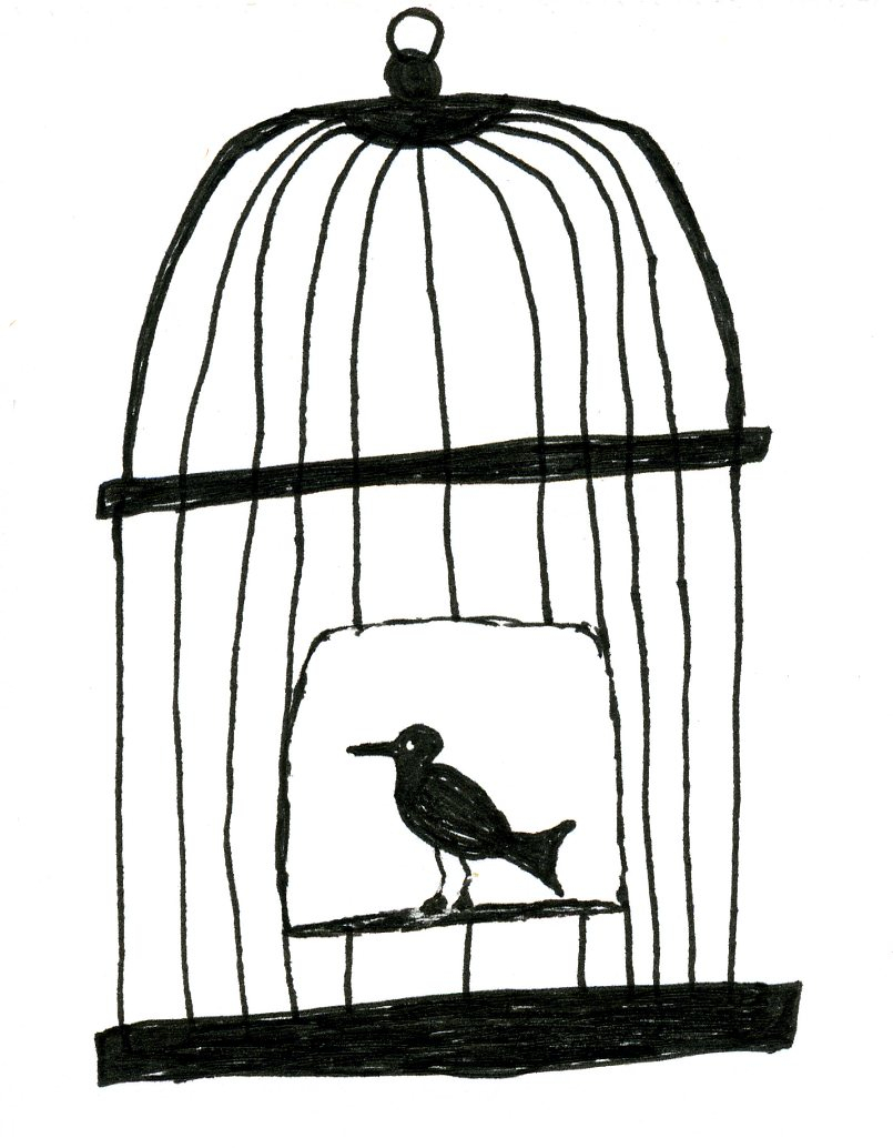 805x1034 Bird In Cage Drawing How To Draw A Bird Cage