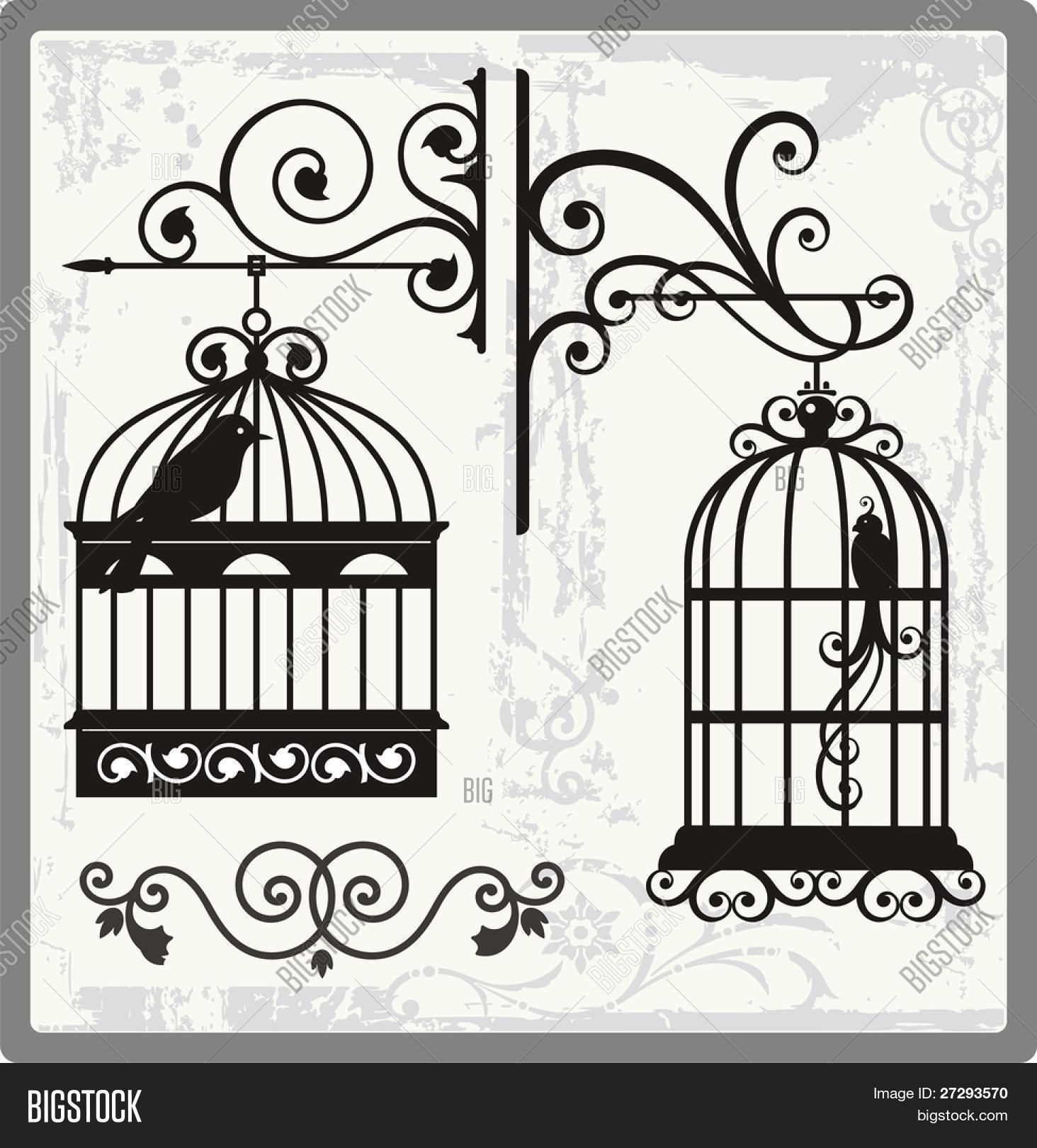 1464x1620 Drawn Birdcage Ornamental