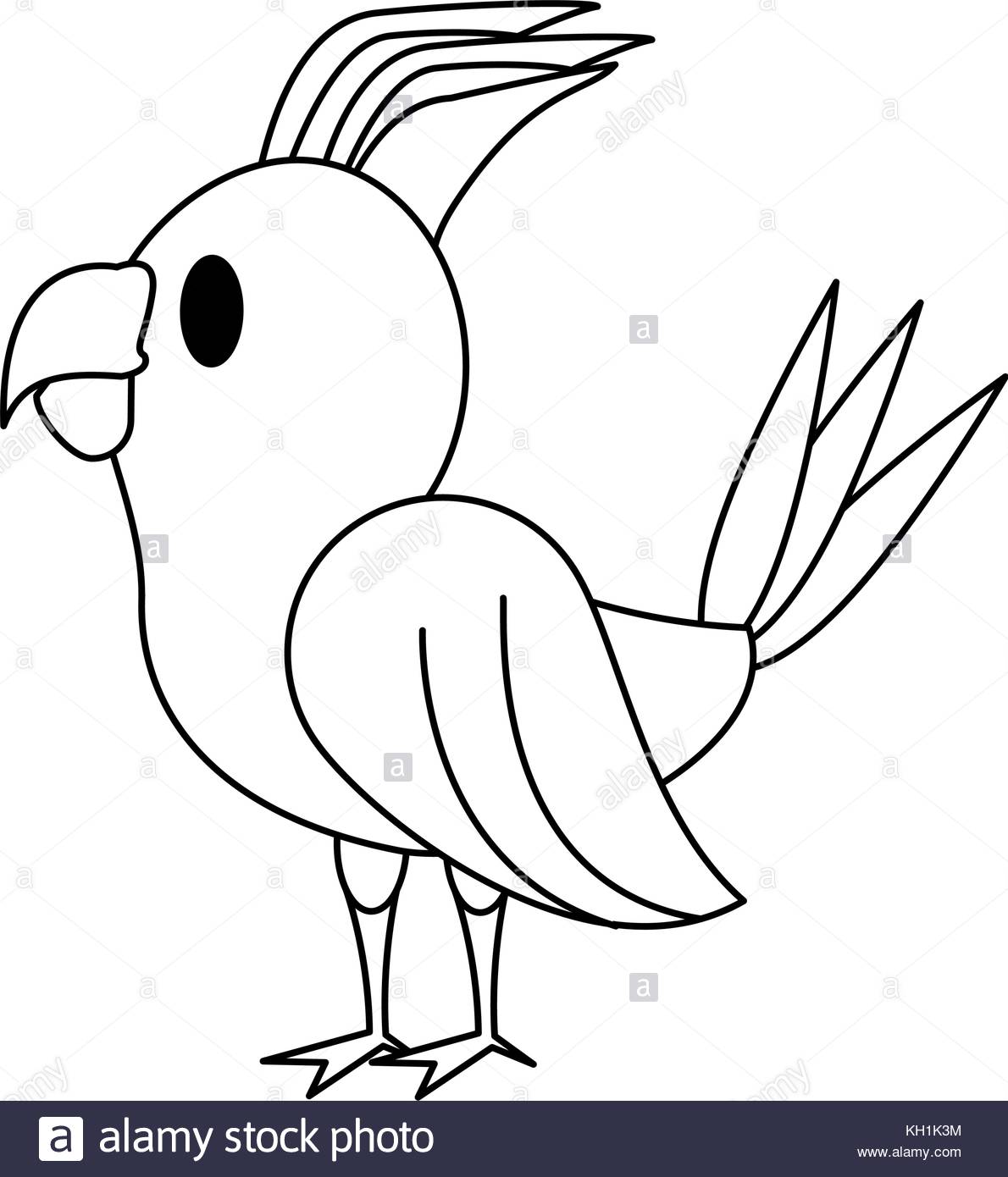 1190x1390 Funny Parrot Bird Cartoon Illustration Stock Photos Amp Funny Parrot