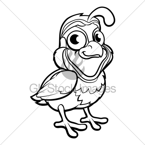 500x500 Quail Bird Cartoon Character Gl Stock Images