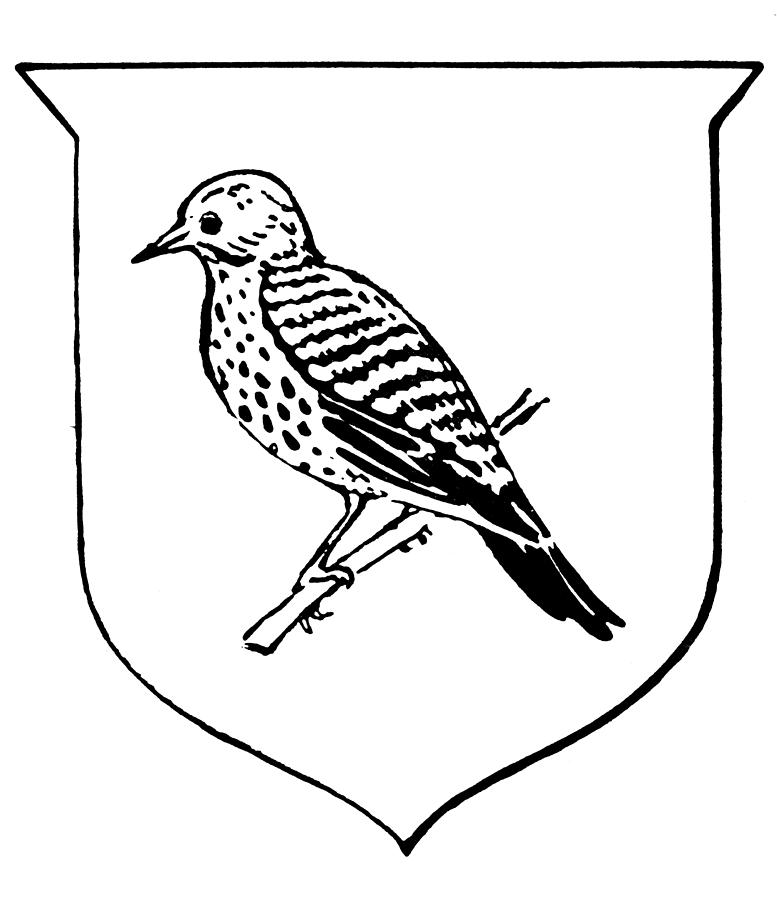 777x900 Alabama State Bird Drawing By Granger