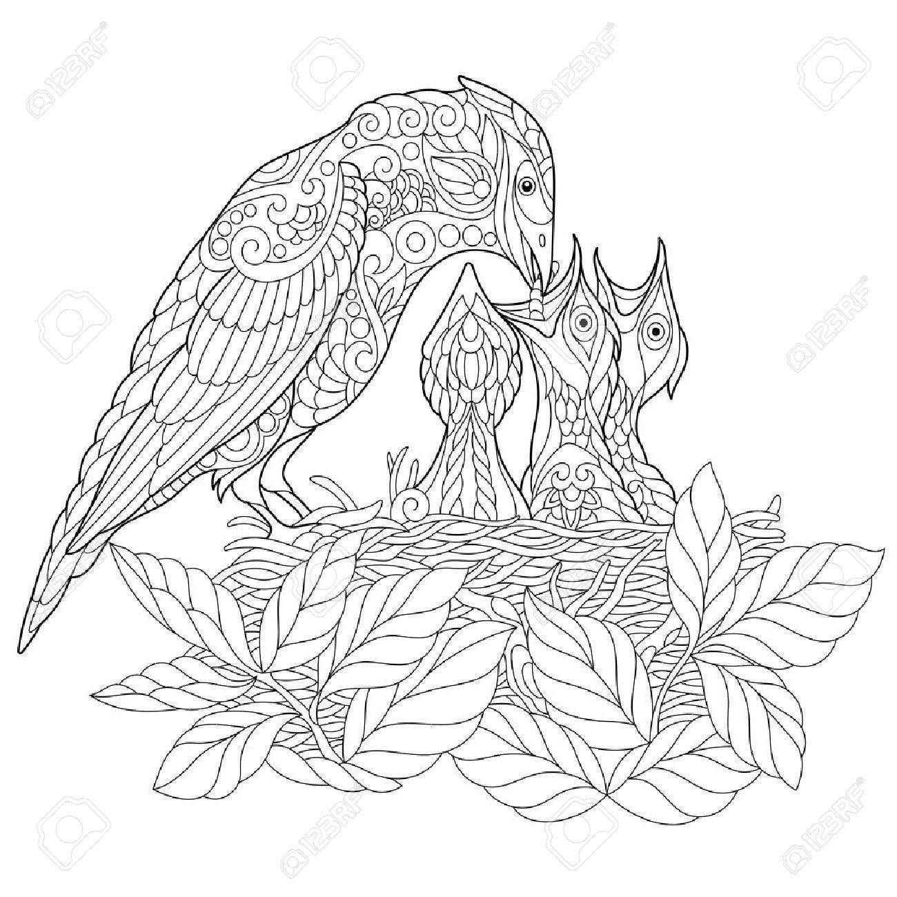 1300x1300 Coloring Book Page Of Jay Bird Feeding Its Newborn Nestlings