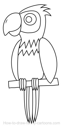 250x500 Drawing A Parrot Cartoon