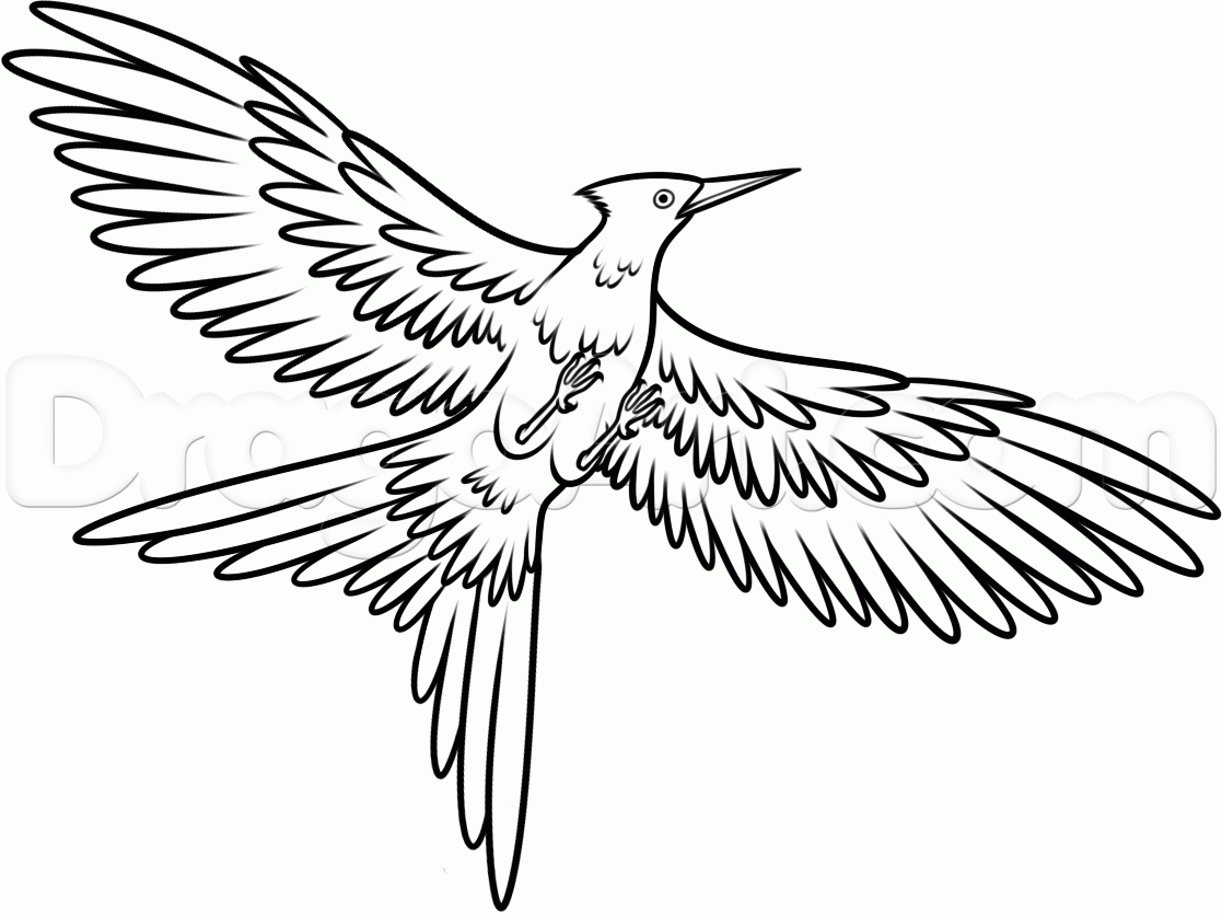 1117x834 Drawn Mockingbird Cartoon