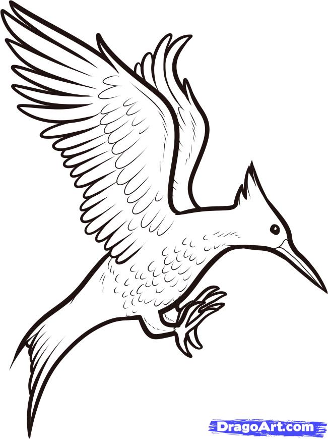 651x870 Cartoon Birds Flying Many Interesting Cliparts