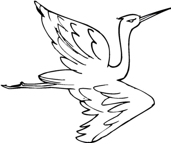 600x502 Crane Bird Netart