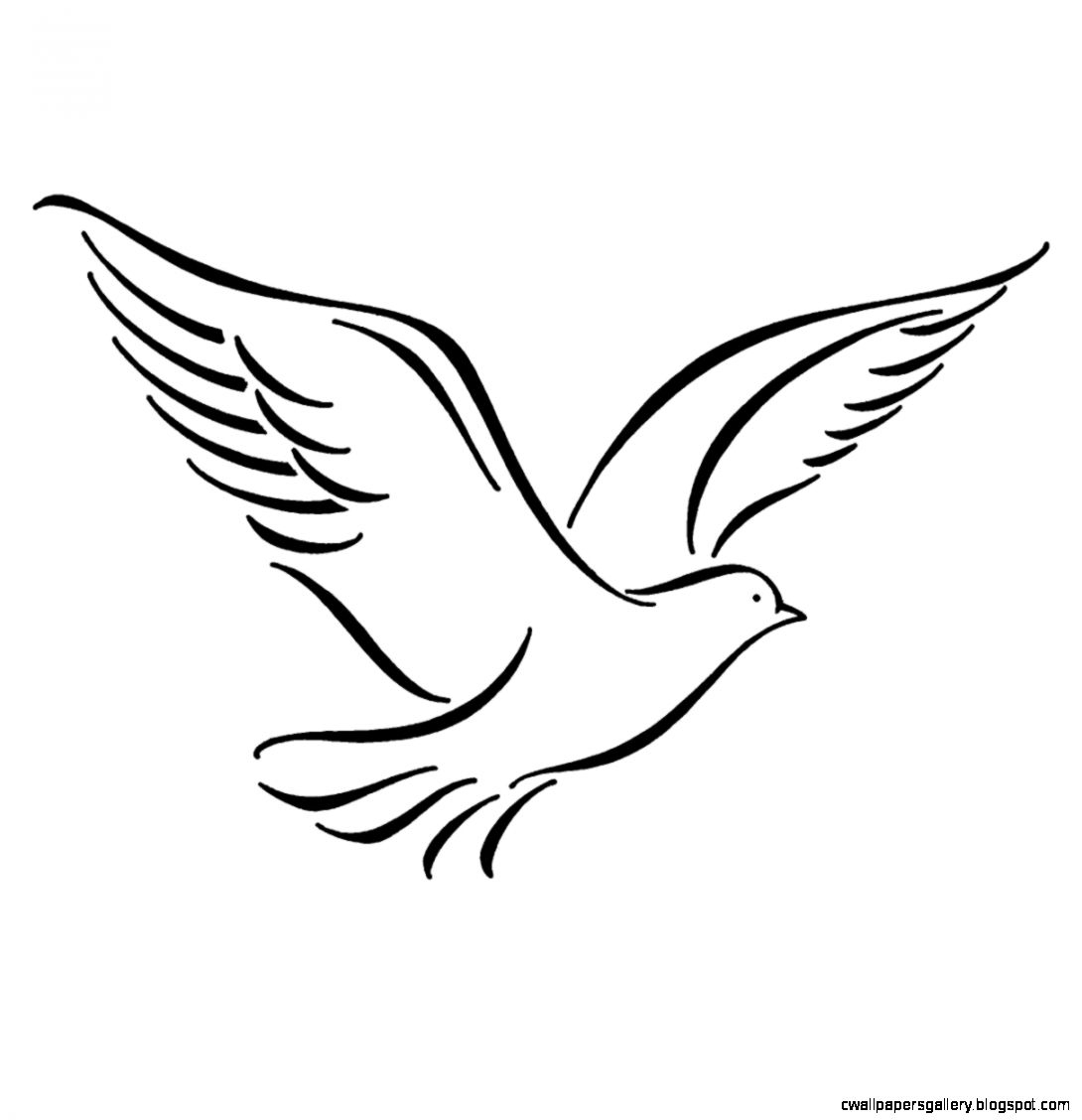 1090x1128 Drawing Of Birds Flying Flying Bird Drawing Wallpapers Gallery