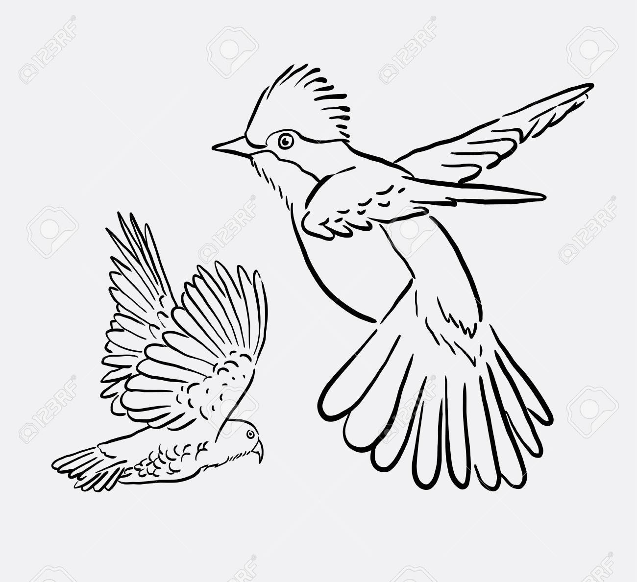 1300x1188 Bird Animal Flying Drawing. Good Use For Symbol, Logo, Web Icon