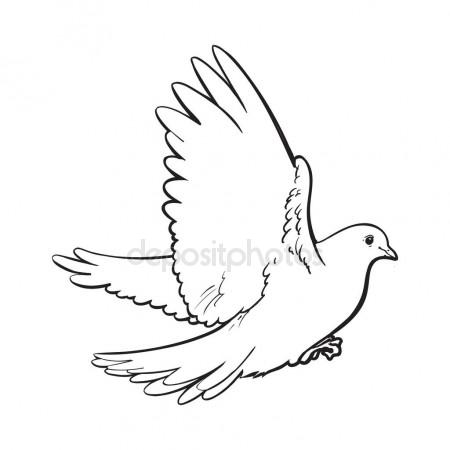 450x450 Hummingbird In Flight.detailed Drawing Of A Bird.handmade.vector