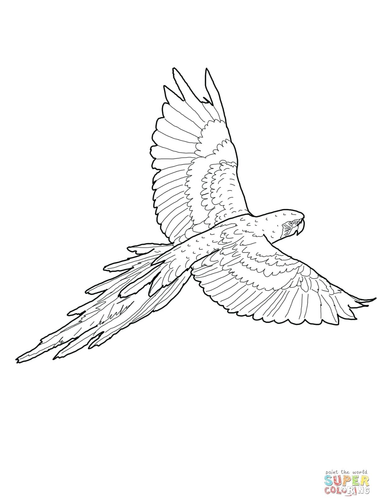1200x1600 Printable Flying Bird Outline Printable Click The Crane Coloring