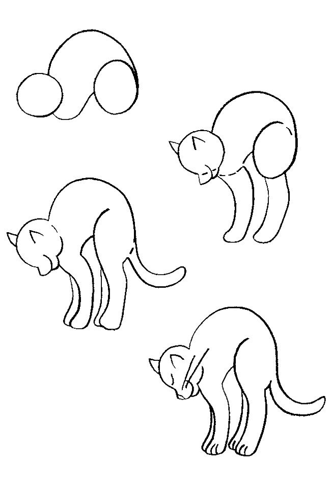 650x970 How To Draw A Cat How To Draw Cat, Drawings
