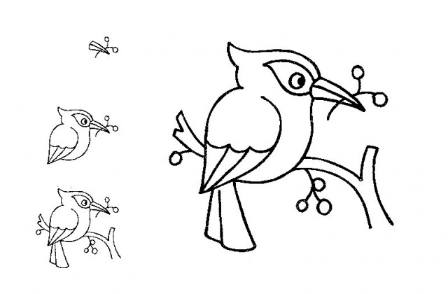 640x420 Tag For Birds Drawing For Kids Bird Drawings For Kids Pencil