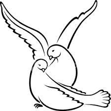 225x224 Dove Bird Drawing Clipart
