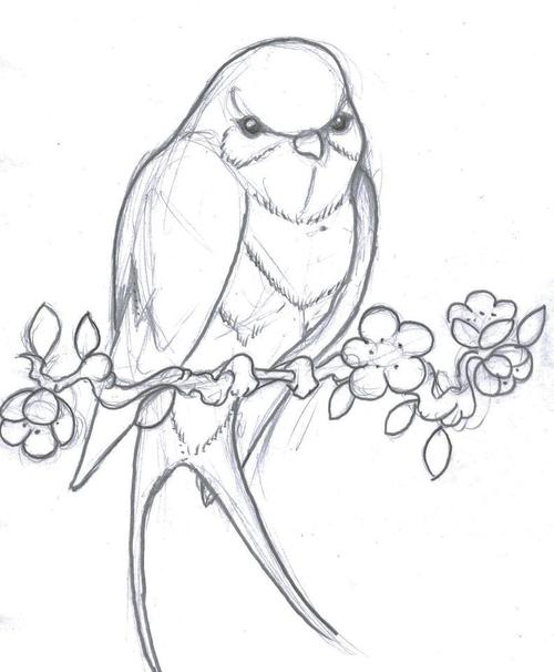 500x606 A Bird Tattoo Drawing