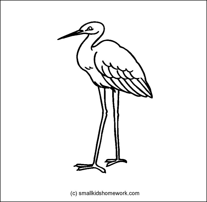 873x849 Bird Drawing Outline Images