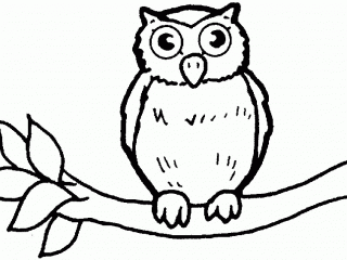 320x240 Outline Drawings For Kids Owl Outline Drawing Kids Coloring Print