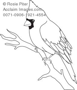 257x300 Clipart Bird Outline