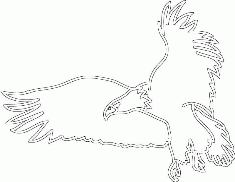 800x622 Bird Outline Drawing Many Interesting Cliparts