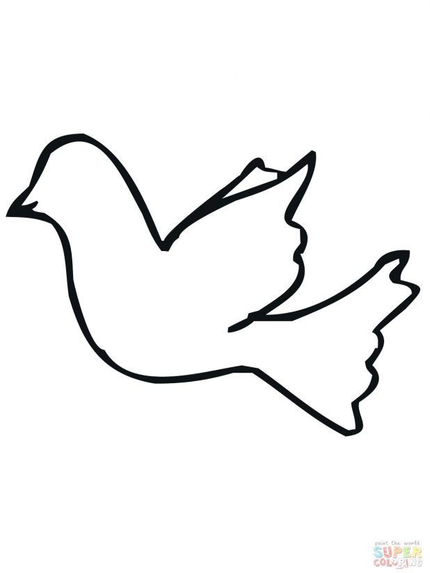 618x824 Outline Drawing Bird Cock Easy Step By Images About On Art How