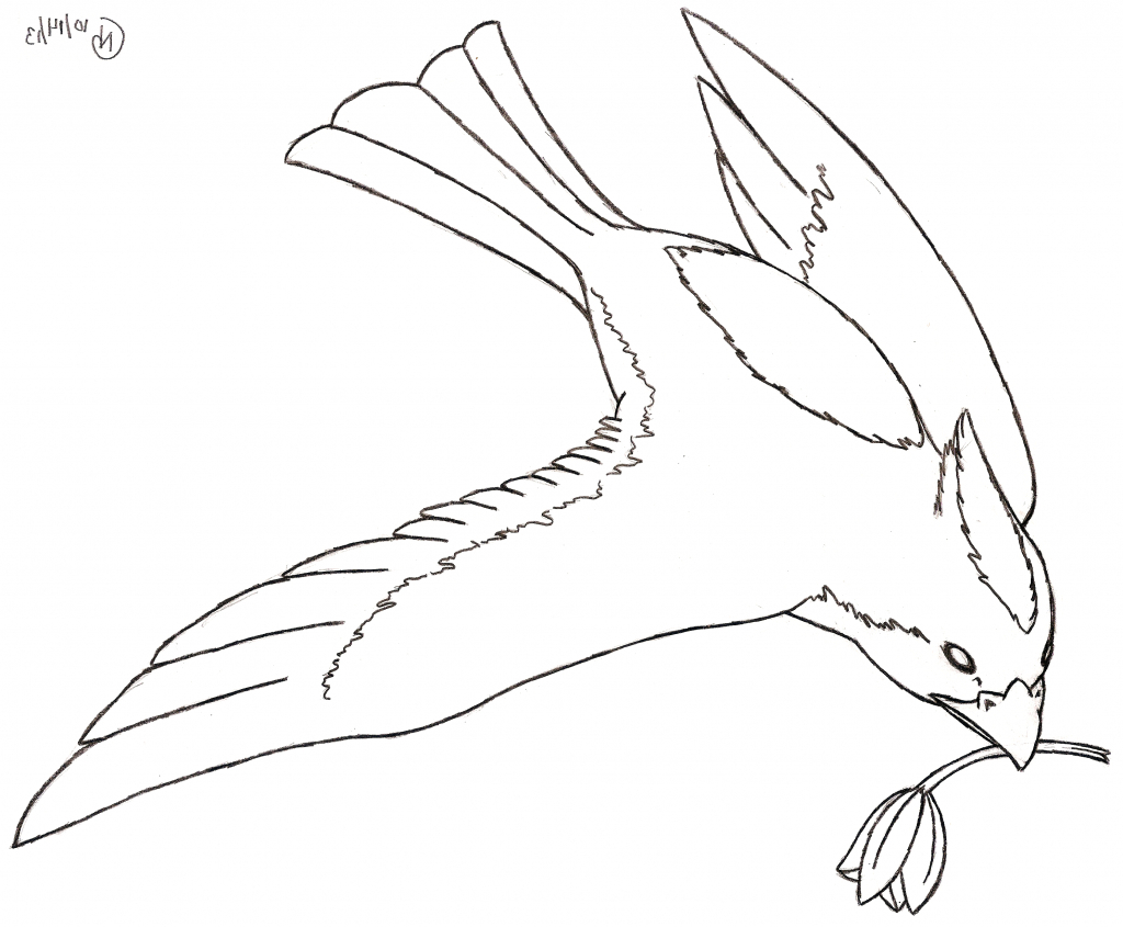 1024x845 Bird Line Drawings A Drawing Of A Bird How To Draw Birds For Kids