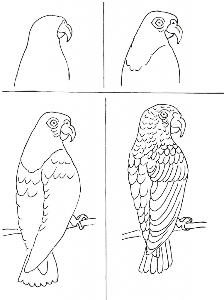 764x1024 Drawing Ideas Step By Step Sketch Pencil Drawing Of Bird Bird