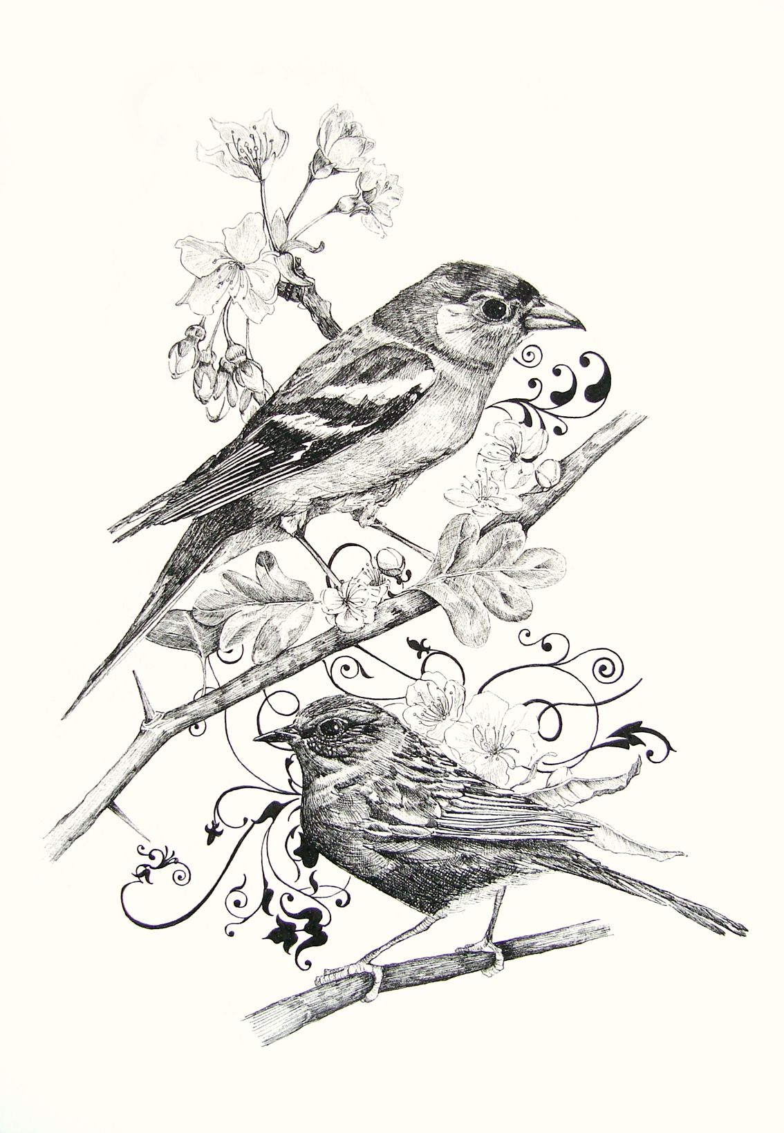 1134x1639 Birds + Filigree