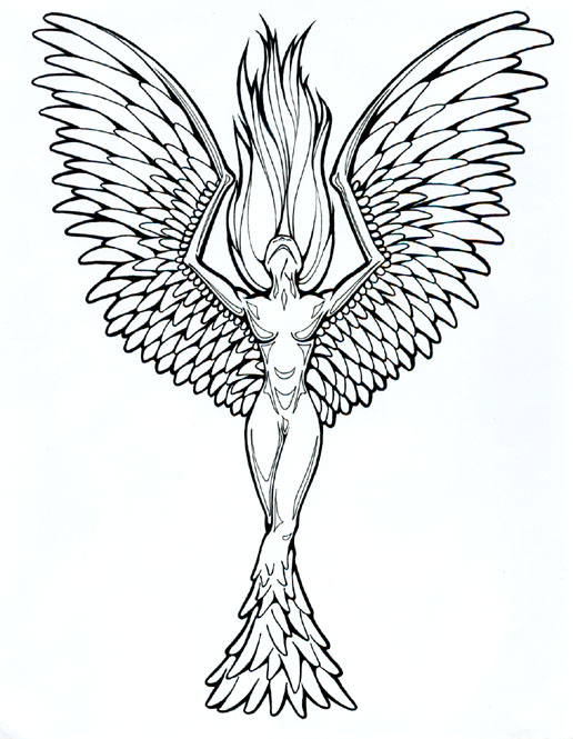 516x665 Collection Of Tumblr Phoenix Tattoo Photo