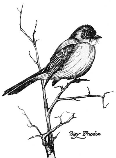 400x544 Grand Canyon National Park (Notes)