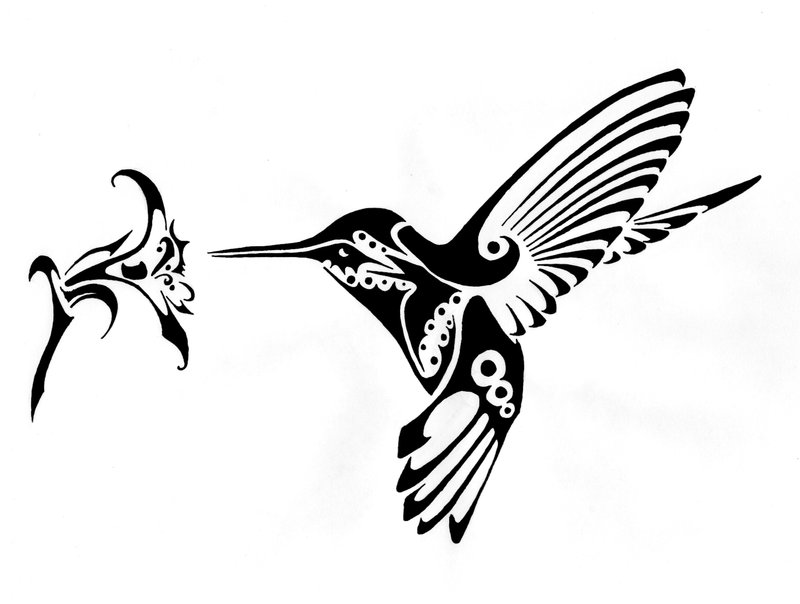 800x604 Tumblr Tribal Hummingbird Tattoo 2015