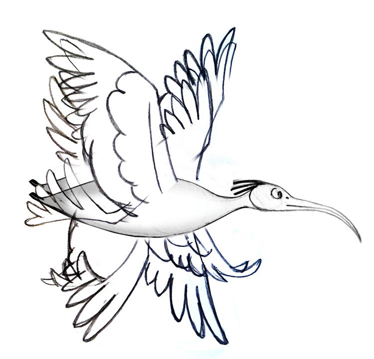 750x720 Why Birds Fly In