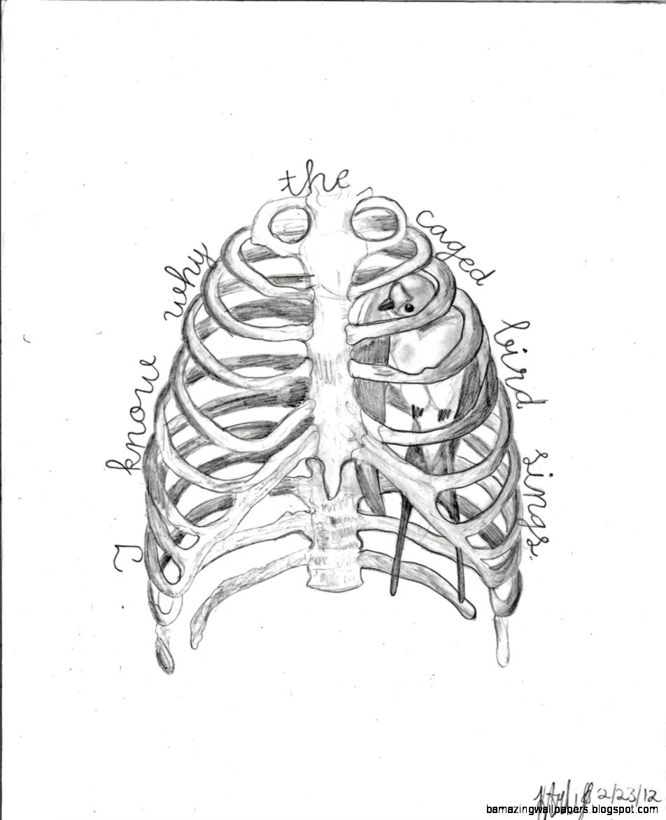 952x1172 Bird Drawings Tumblr Amazing Wallpapers