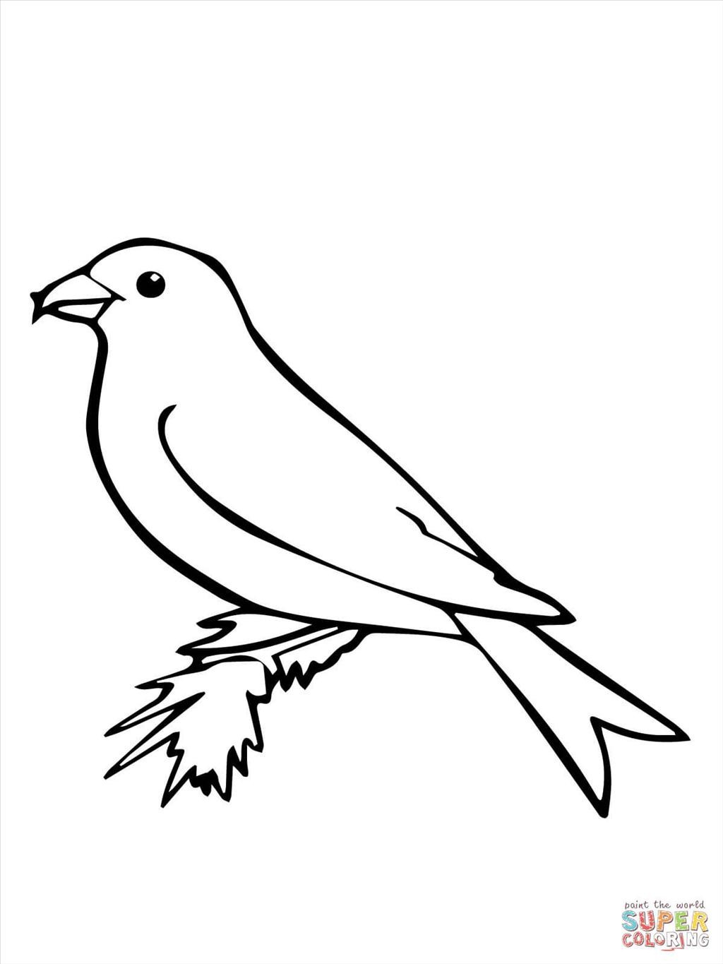 1024x1365 Good Bird Coloring Page Wallpapers Unknown Resolutions High