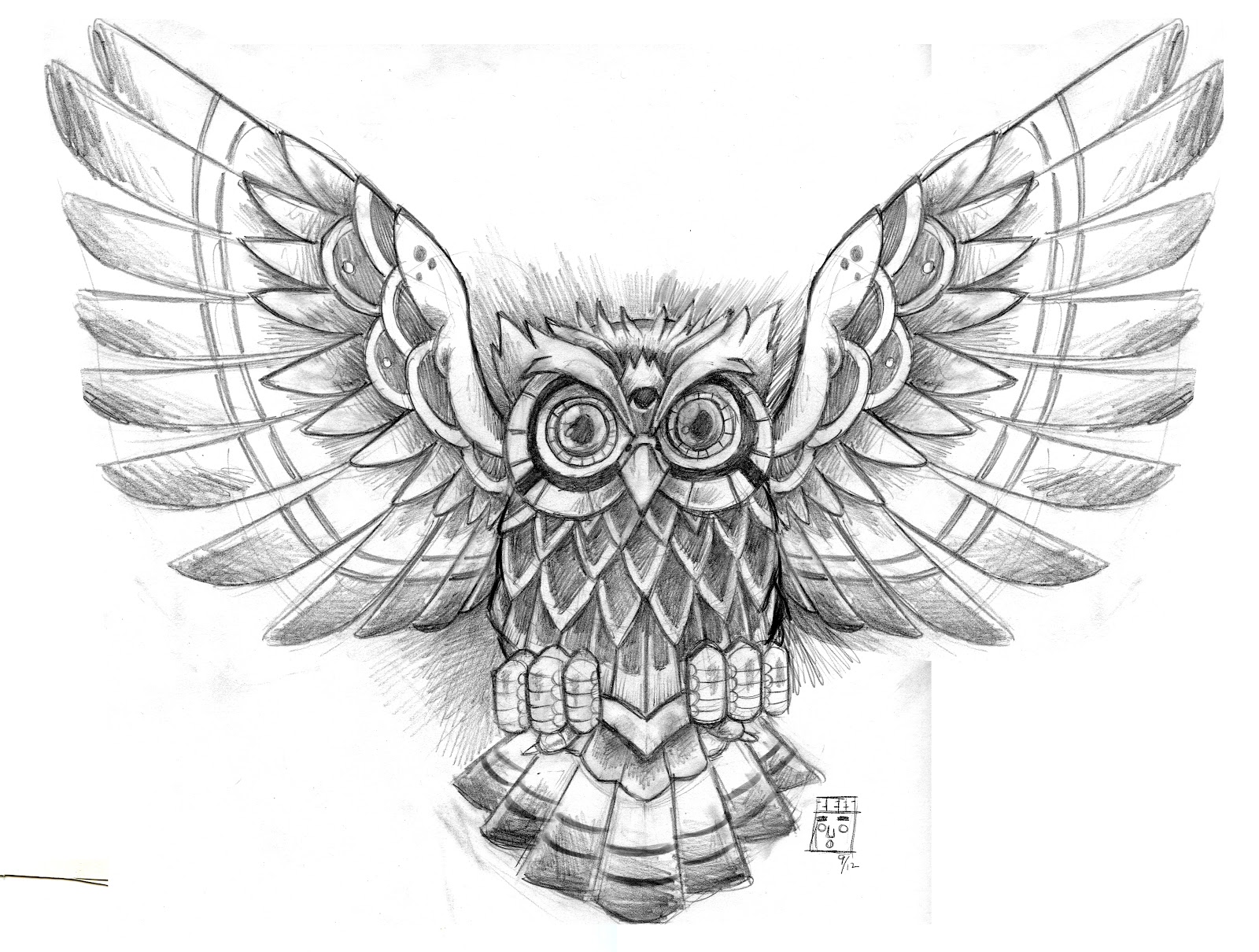 1600x1210 Owl Wallpaper And Background Image 1600x1210 Id328459