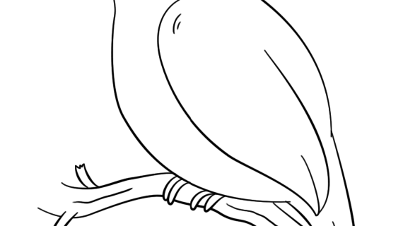 570x320 Bird On A Tree Drawing Inkscape Tutorial How To Draw A Tree Branch