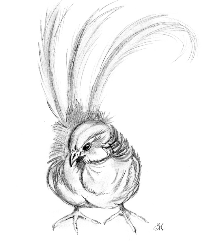 700x856 Drawing Amp Sketching By Michelle Rivail