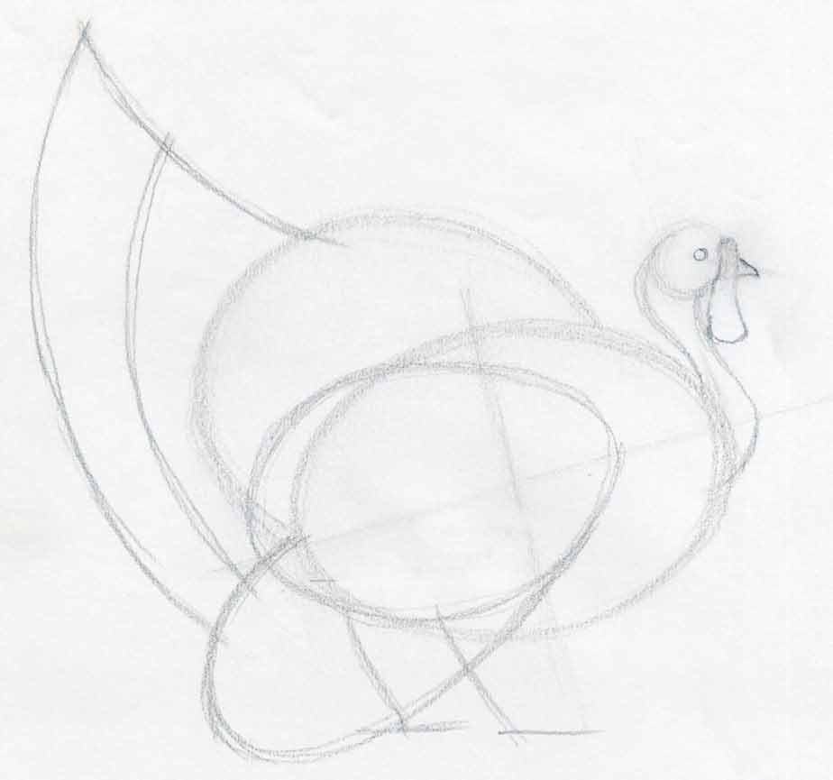 924x865 How To Draw A Turkey In Pencil