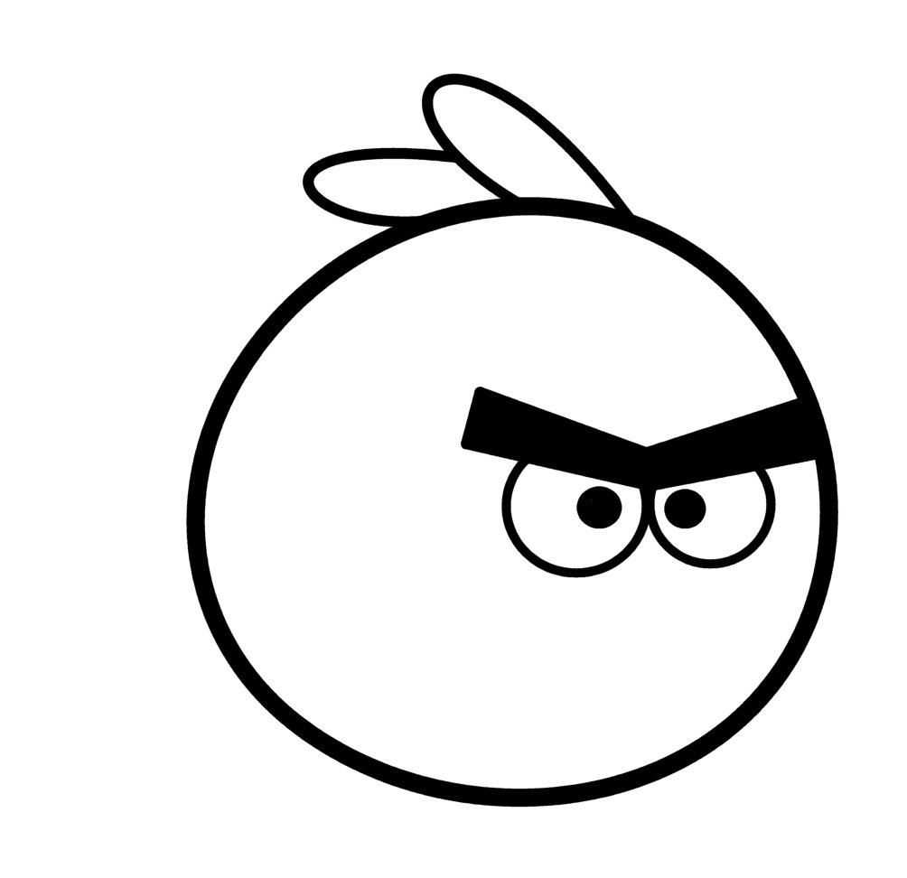 1004x972 How To Draw Cartoons Angry Bird