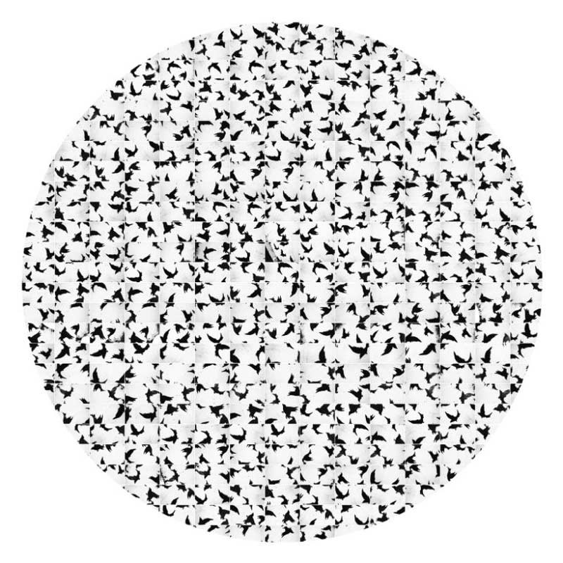 800x800 Limited Edition Print