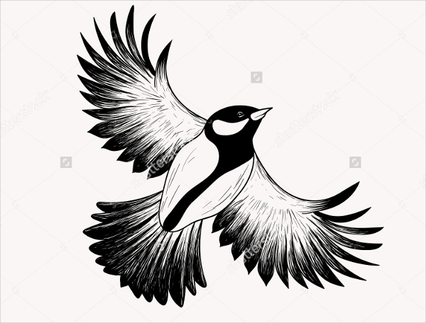 600x456 Bird Sketches