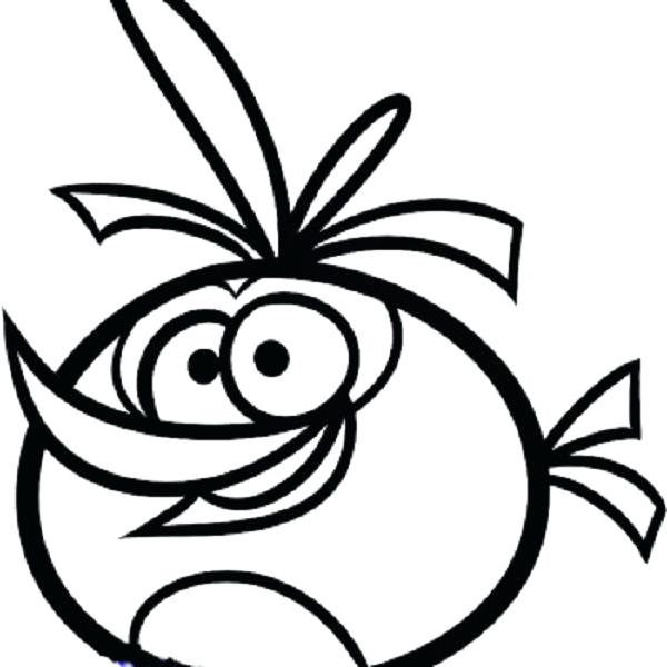 600x600 Unique Free Angry Birds Coloring Pages Download Easy Orange Bird