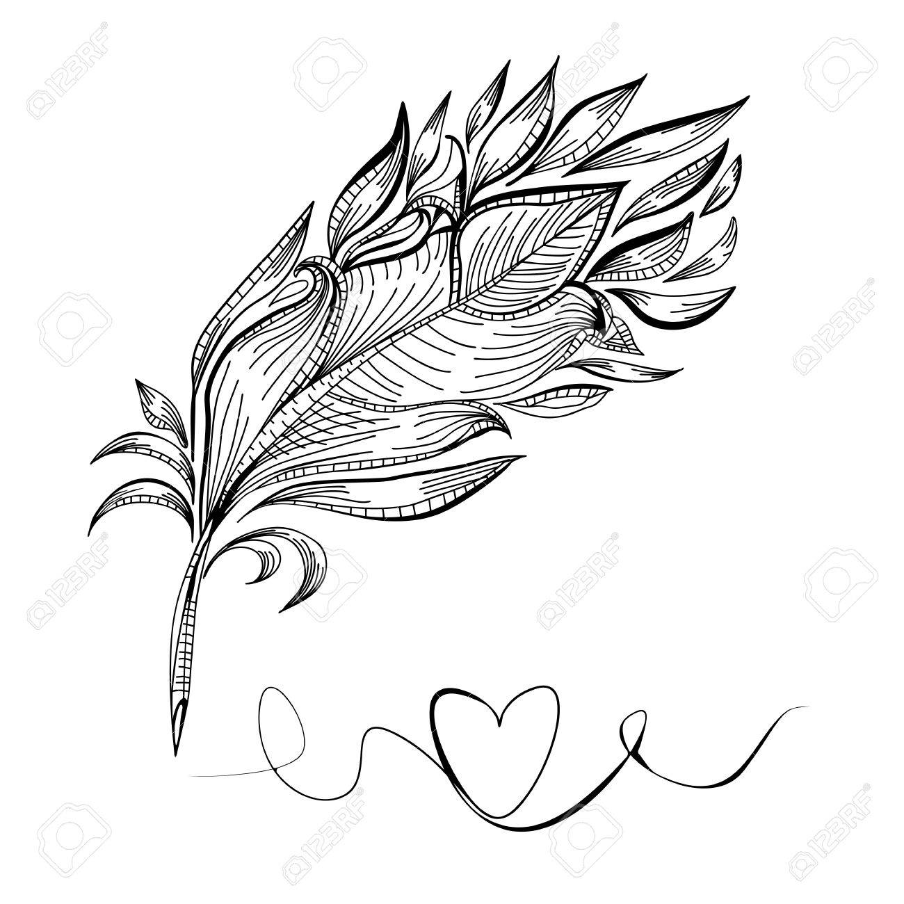1300x1300 Drawing A Doodle Bird Feather, Line Vector Illustration Royalty