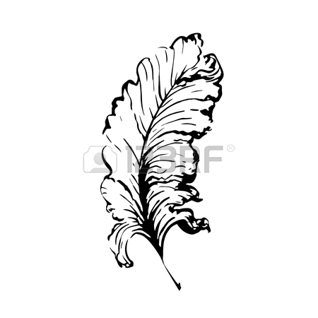 450x450 Hand Drawn Bird Feather, Symbol Of Knowledge, Writing And Learning