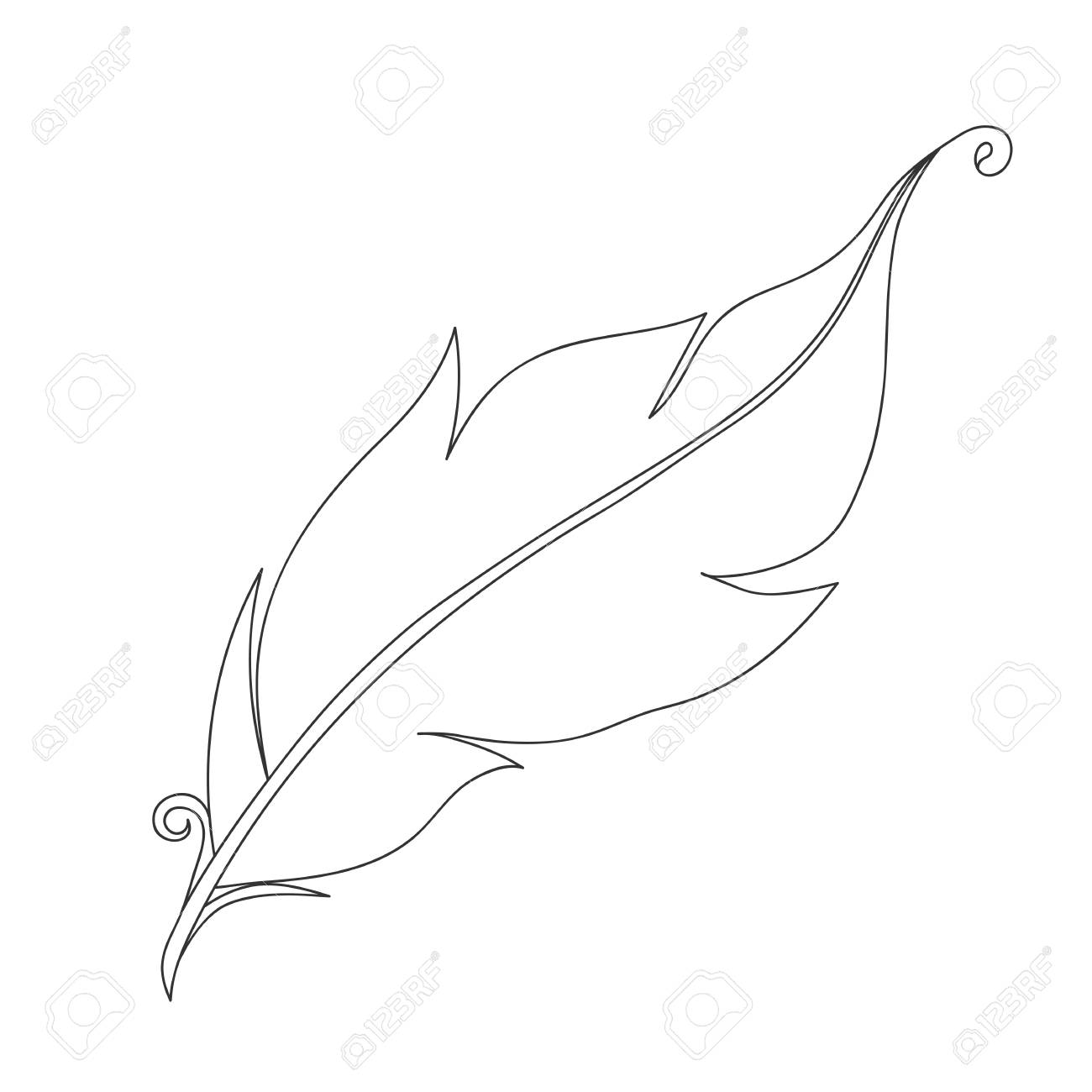 1300x1300 Isolated Black Outline Monochrome Feather Of Bird On White