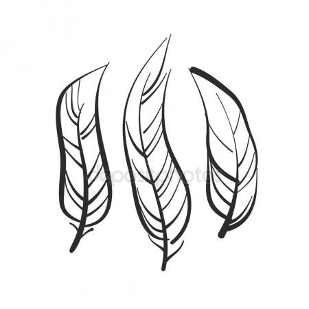 450x450 Feather Bird Template Stock Vector Antoshkaforever