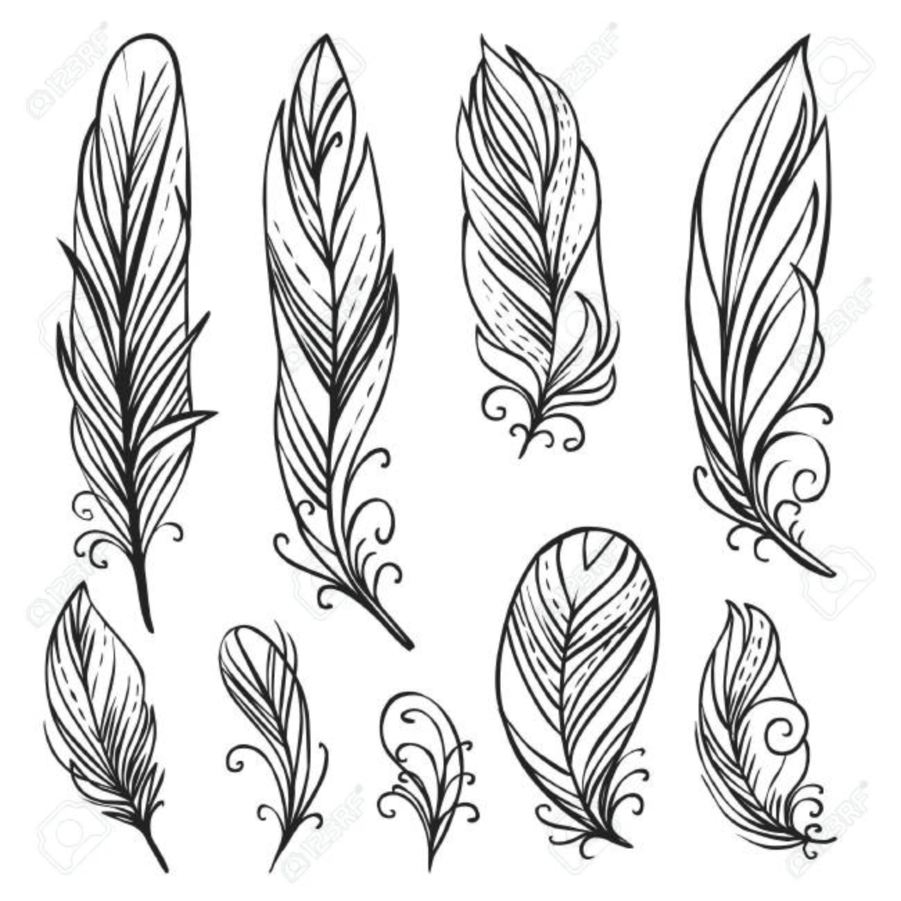 1300x1300 Hand Drawn Bird Feathers Royalty Free Cliparts, Vectors, And Stock