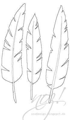 236x397 Original Ink Feather Drawing ~ 2 Sea Bird Feathers Feathers